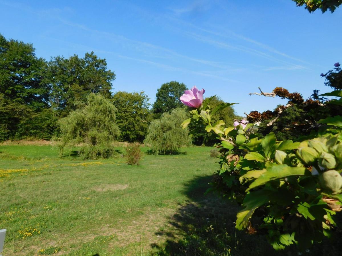 Du Coq A L'Ame Bed & Breakfast Naves  Bagian luar foto
